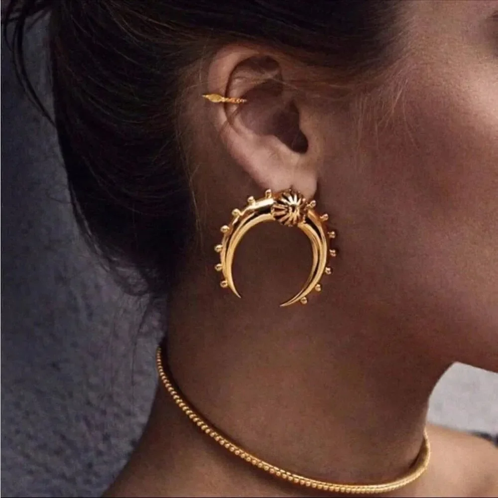 Statement earrings N737